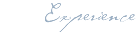 Experience